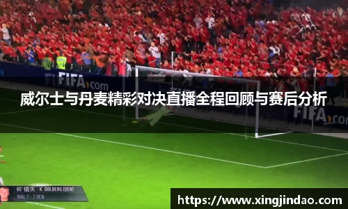 威尔士与丹麦精彩对决直播全程回顾与赛后分析